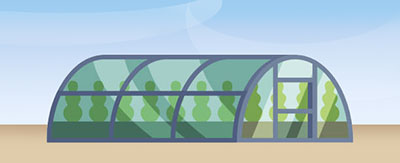 illustration of a greenhouse